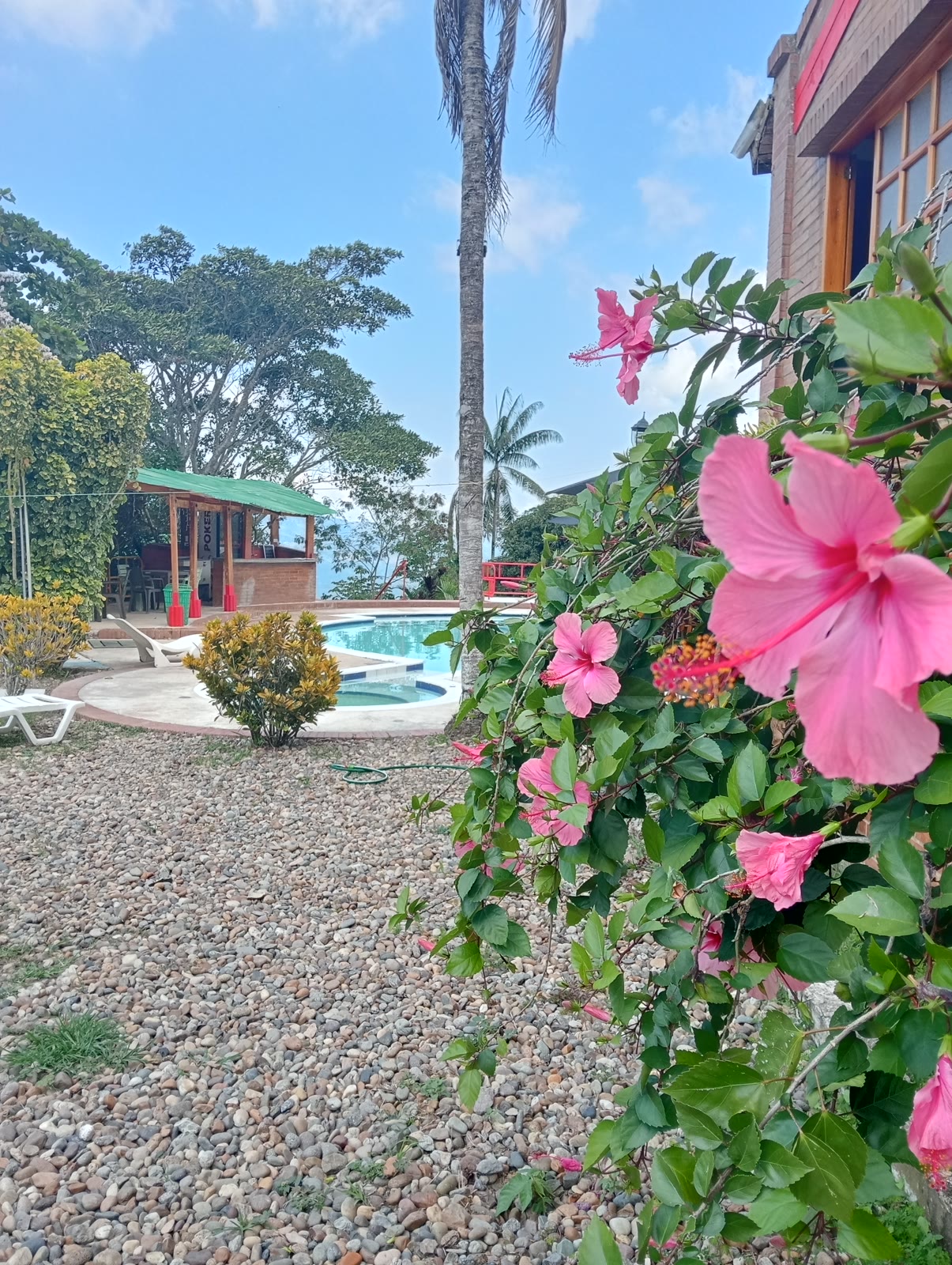 Jardines con la piscina al fondo