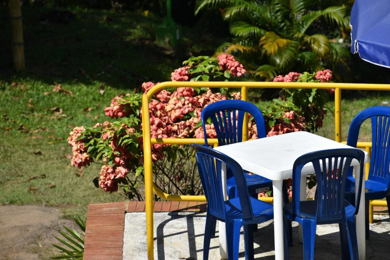 Kiosco y zona común entre jardines